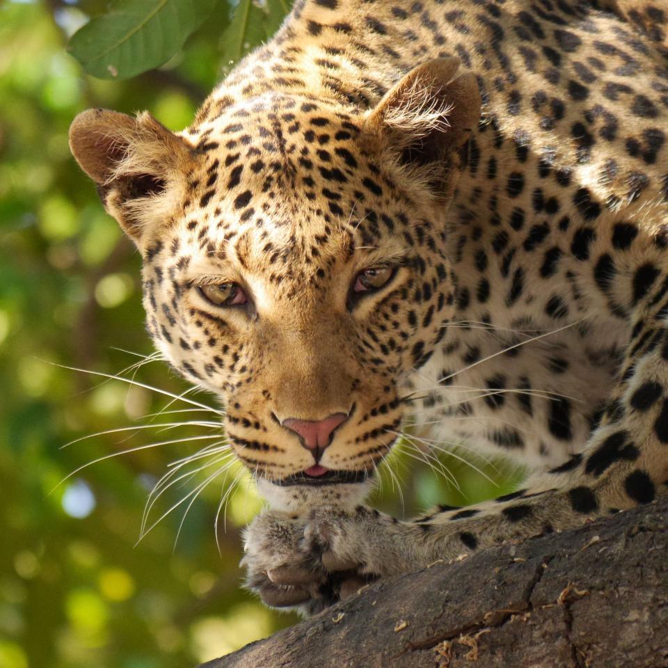 A moment from a Blissful Escapes journey across Uganda.